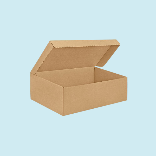 Cardboard Shoe Boxes